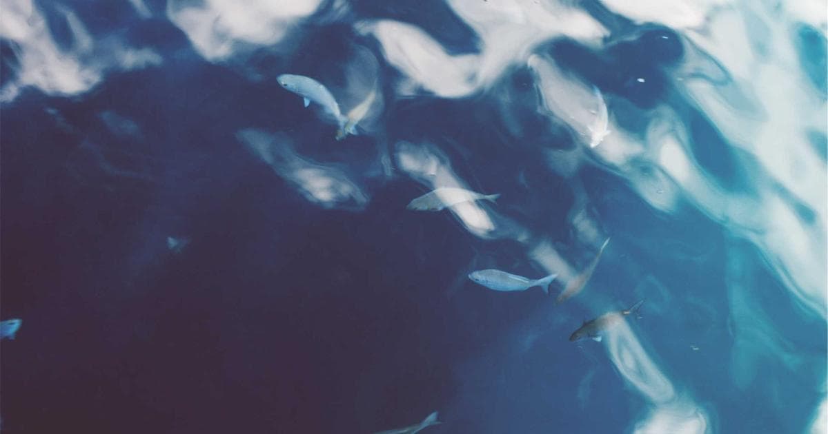 ChatGPT 寫文案、AI 投廣告：行銷人 40% 職缺即將消失