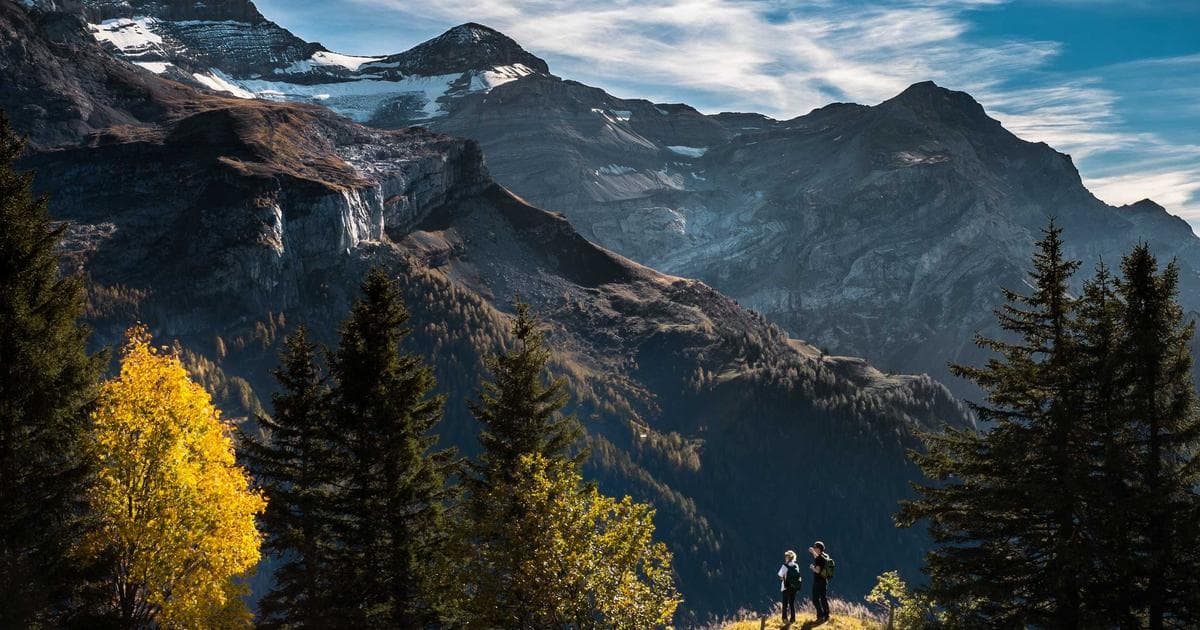 定期定額 vs 單筆投入 ETF 投資策略比較：2026 年最新數據與實戰分析