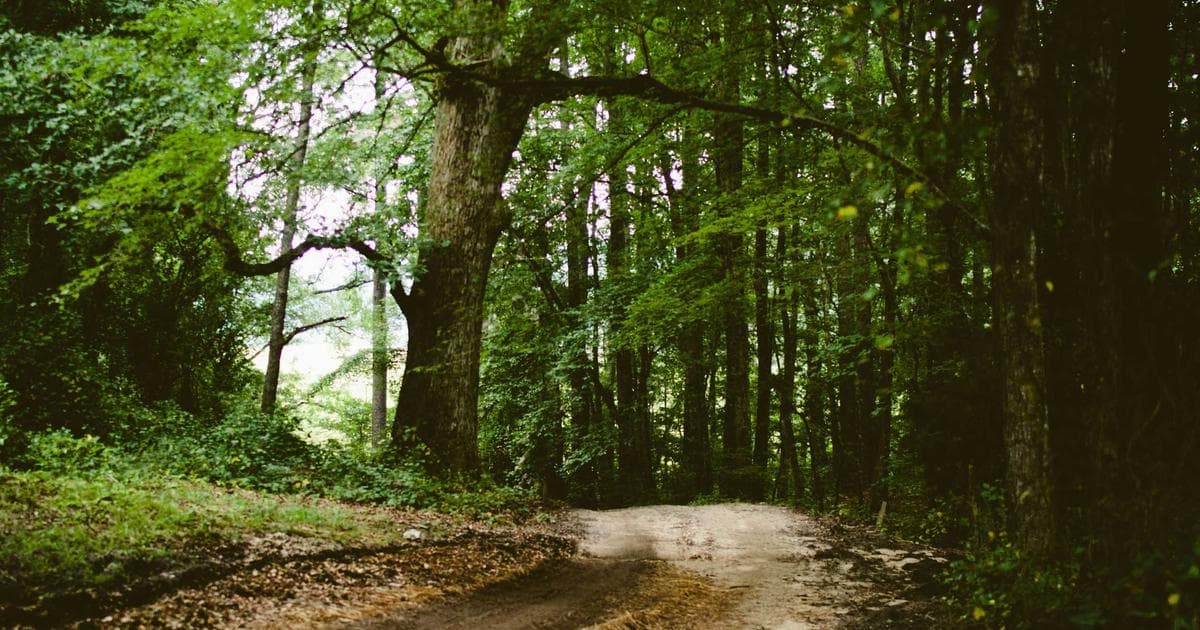 平面設計師用 AI 工具月入 20 萬？真實案例拆解變現路徑