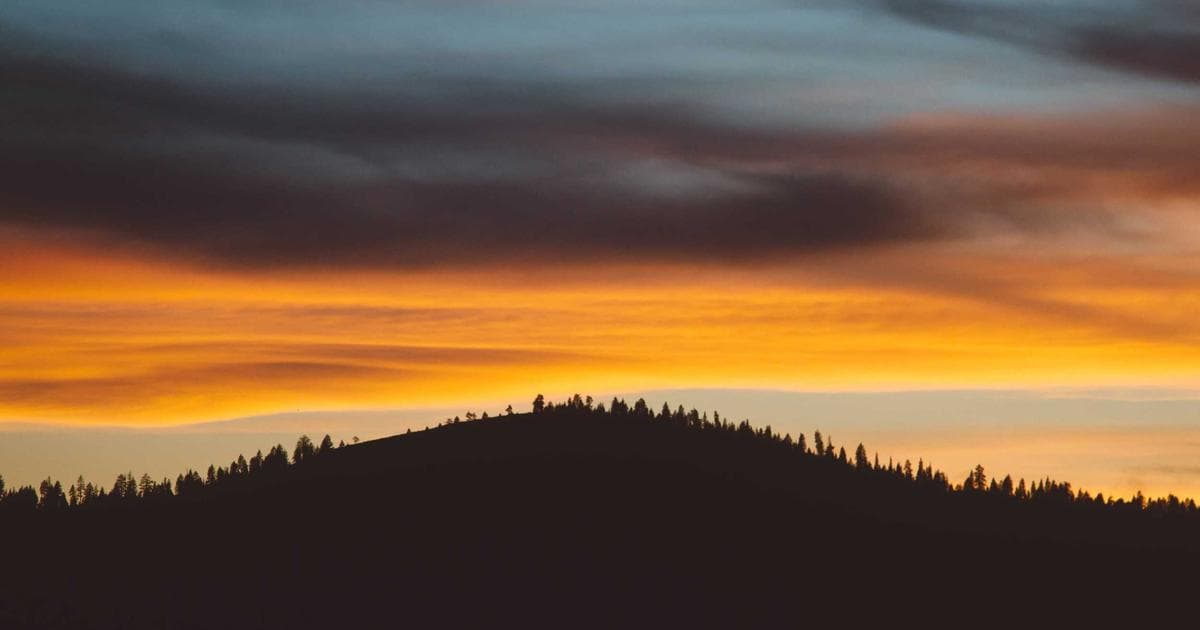 插畫師善用 AI 工具效率翻 5 倍、收入翻倍的實戰心法