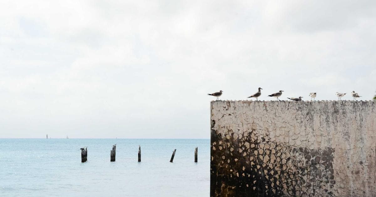 Logo 設計教學：從手稿到向量化的完整流程，品牌識別一次搞定