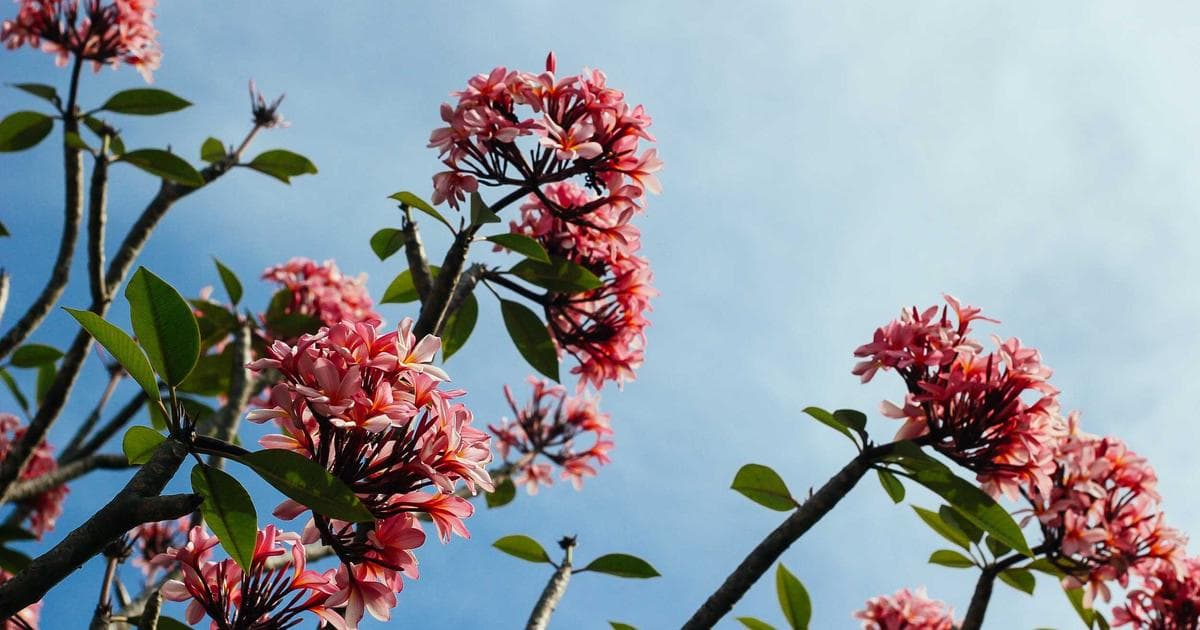 長尾關鍵字策略教學：低競爭高轉換的 SEO 秘訣，2026 年完整指南