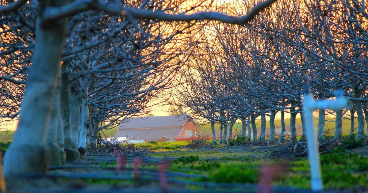 Python Selenium 動態爬蟲教學：從入門到自動化實戰