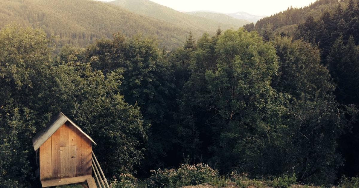 YouTube Shorts 短影片製作教學：2026 演算法攻略與爆紅秘訣